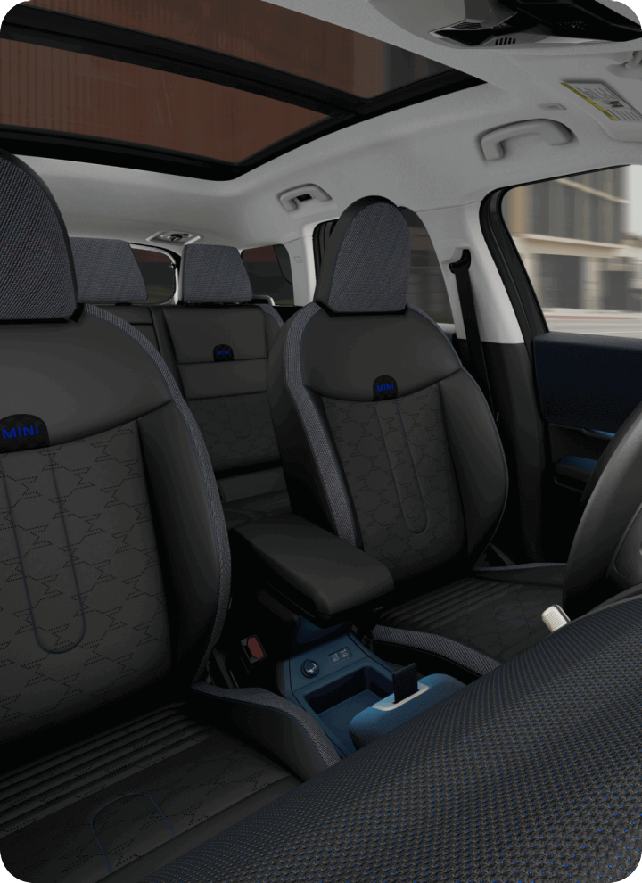 MINI OLED Display Technology